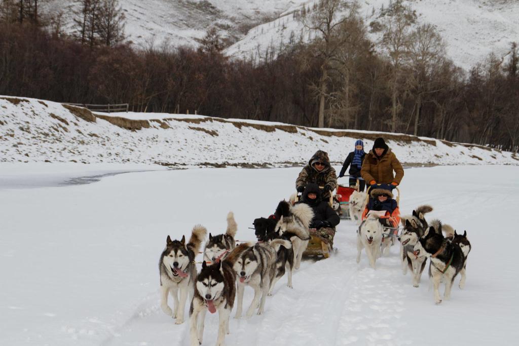 Top Tour & Guesthouse Mongolia อูลานบาตอร์ ภายนอก รูปภาพ