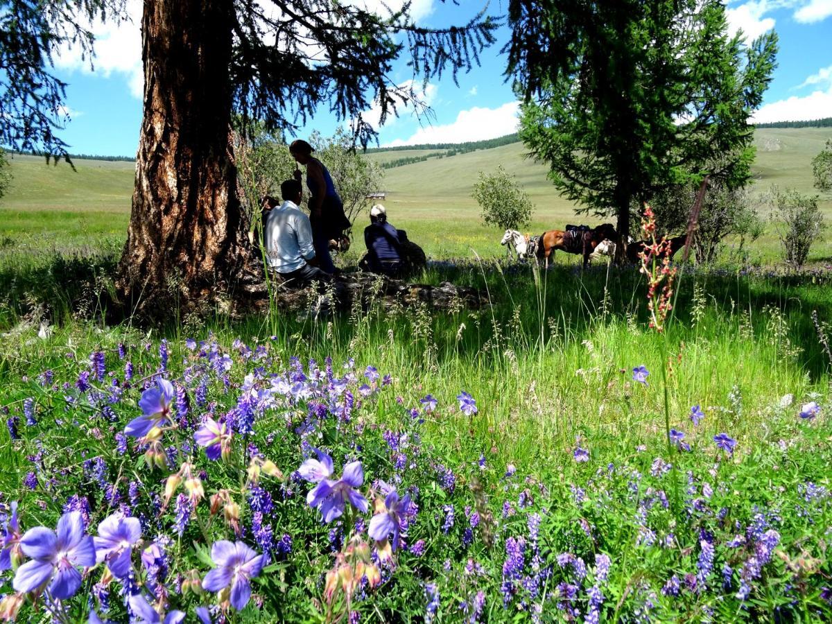 Top Tour & Guesthouse Mongolia อูลานบาตอร์ ภายนอก รูปภาพ